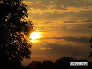 Klick für Originalgröße :sonnenpracht0188.jpg