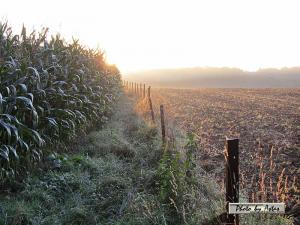 Klick für Originalgröße :sonnenpracht0224.jpg