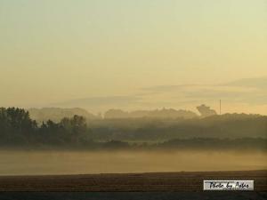 Klick für Originalgröße :sonnenpracht0236.jpg