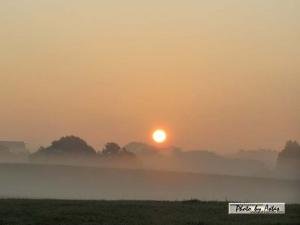 Klick für Originalgröße :sonnenpracht0239.jpg