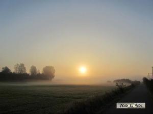 Klick für Originalgröße :sonnenpracht0241.jpg