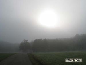 Klick für Originalgröße :sonnenpracht0263.jpg