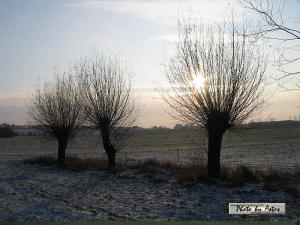 Klick für Originalgröße :sonnenpracht0289.jpg