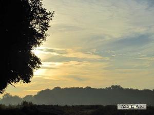 Klick für Originalgröße :sonnenpracht0301.jpg