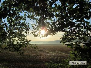 Klick für Originalgröße :sonnenpracht0305.jpg