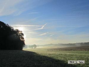 Klick für Originalgröße :sonnenpracht0309.jpg