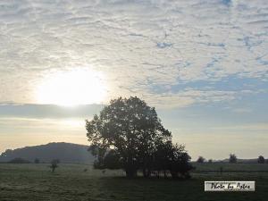 Klick für Originalgröße :sonnenpracht0314.jpg