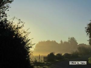 Klick für Originalgröße :sonnenpracht0327.jpg