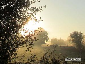 Klick für Originalgröße :sonnenpracht0328.jpg