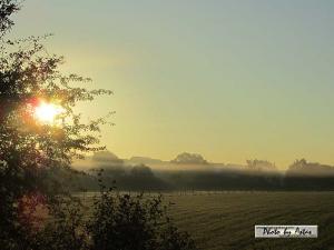 Klick für Originalgröße :sonnenpracht0332.jpg