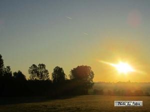 Klick für Originalgröße :sonnenpracht0336.jpg