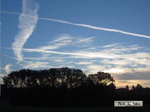 Klick für Originalgröße :sonnenpracht0346.jpg