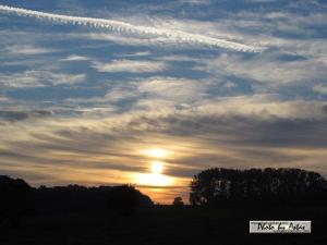 Klick für Originalgröße :sonnenpracht0348.jpg