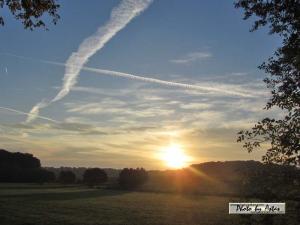 Klick für Originalgröße :sonnenpracht0350.jpg