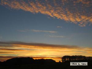 Klick für Originalgröße :sonnenpracht0371.jpg