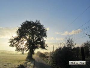 Klick für Originalgröße :sonnenpracht0379.jpg