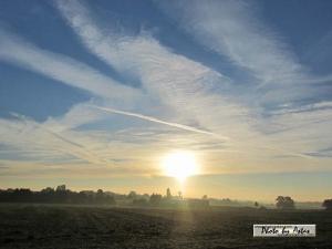 Klick für Originalgröße :sonnenpracht0396.jpg