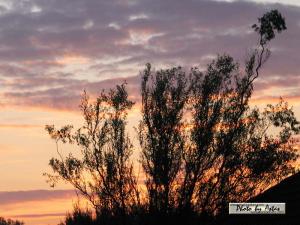 Klick für Originalgröße :sonnenpracht0400.jpg