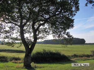 Klick für Originalgröße :sonnenpracht0408.jpg