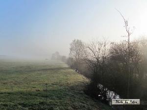 Klick für Originalgröße :sonnenpracht0416.jpg