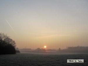 Klick für Originalgröße :sonnenpracht0421.jpg