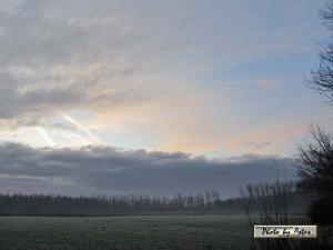 Klick für Originalgröße :sonnenpracht0425.jpg