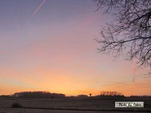 Klick für Originalgröße :sonnenpracht0427.jpg