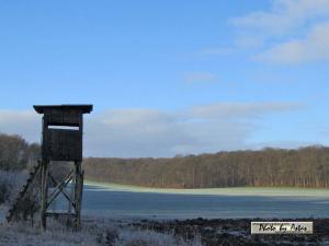 Klick für Originalgröße :sonnenpracht0429.jpg