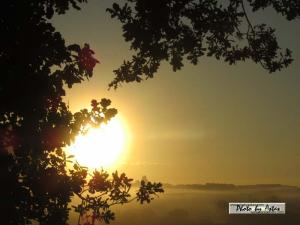 Klick für Originalgröße :sonnenpracht0437.jpg