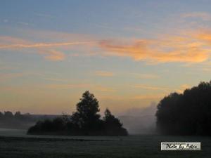 Klick für Originalgröße :sonnenpracht0442.jpg