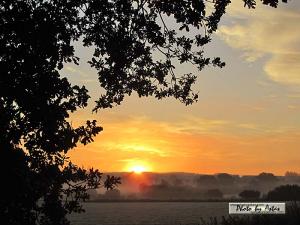 Klick für Originalgröße :sonnenpracht0446.jpg