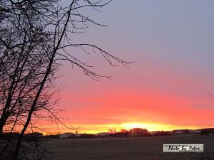 Klick für Originalgröße :sonnenpracht0451.jpg