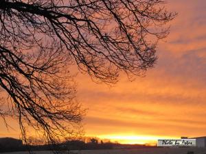 Klick für Originalgröße :sonnenpracht0455.jpg