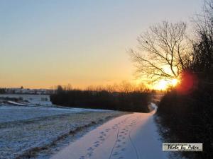 Klick für Originalgröße :sonnenpracht0457.jpg