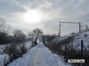 Klick für Originalgröße :sonnenpracht0466.jpg