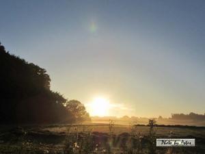 Klick für Originalgröße :sonnenpracht0480.jpg