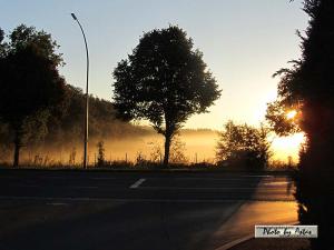 Klick für Originalgröße :sonnenpracht0483.jpg