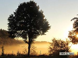 Klick für Originalgröße :sonnenpracht0484.jpg