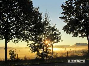 Klick für Originalgröße :sonnenpracht0488.jpg