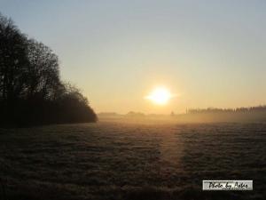 Klick für Originalgröße :sonnenpracht0524.jpg