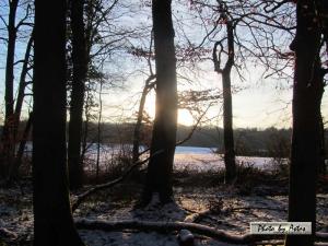 Klick für Originalgröße :sonnenpracht0555.jpg