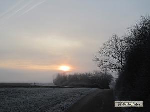 Klick für Originalgröße :sonnenpracht0575.jpg