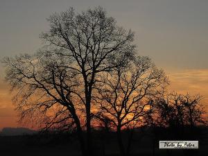 Klick für Originalgröße :sonnenpracht0578.jpg