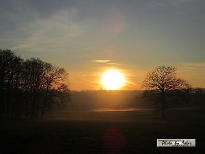 Klick für Originalgröße :sonnenpracht0586.jpg