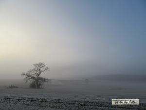 Klick für Originalgröße :sonnenpracht0589.jpg