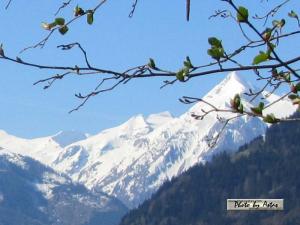 Klick für Originalgröße :2013zellamsee055.jpg