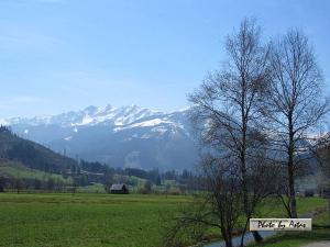 Klick für Originalgröße :2013zellamsee077.jpg