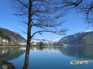 Klick für Originalgröße :2013zellamsee085.jpg