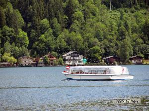 Klick für Originalgröße :2013zellamsee137.jpg