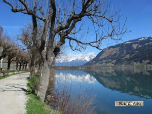 Klick für Originalgröße :2013zellamsee163.jpg